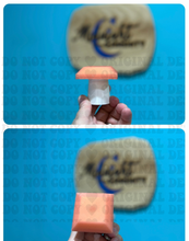 Load image into Gallery viewer, ACRYLIC BLANK & FRESHIE PEDESTAL